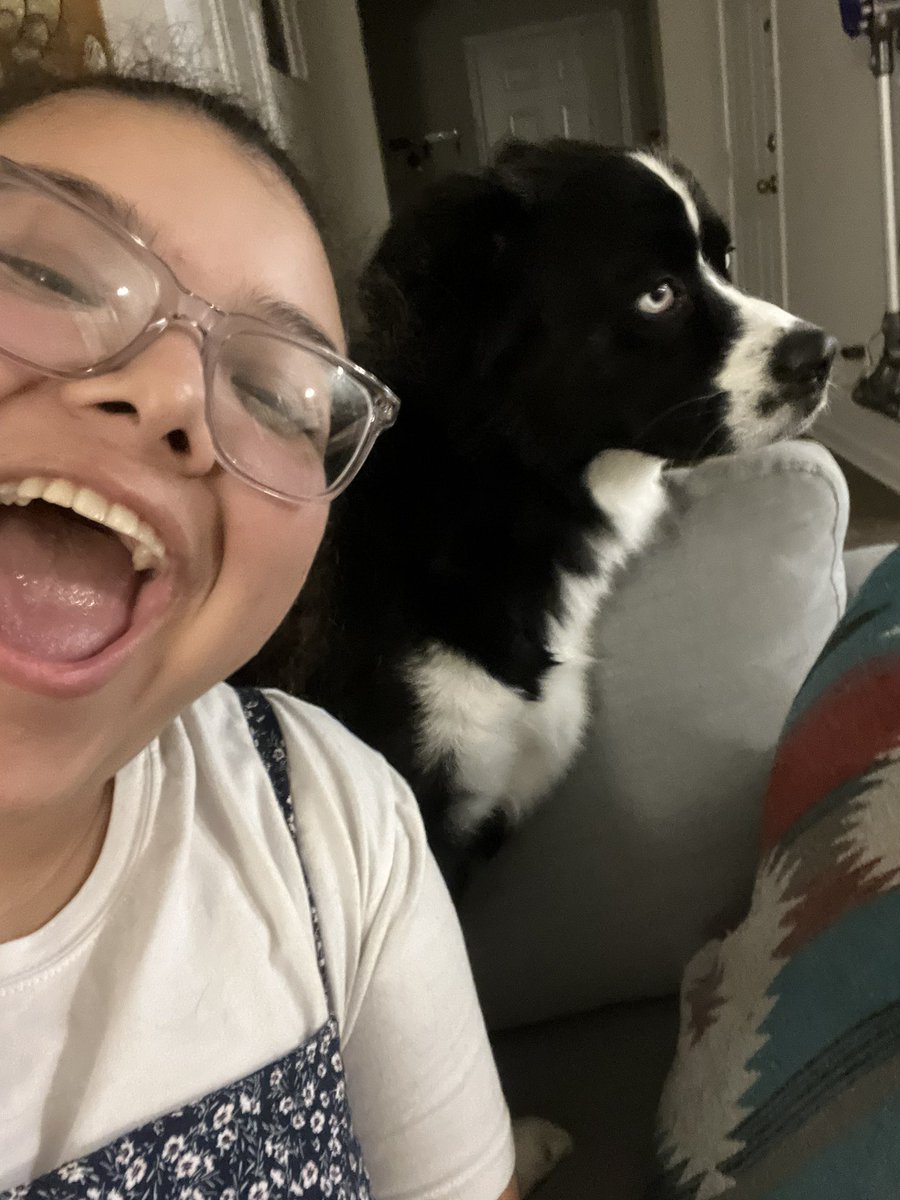 odalysg55's tweet photo. I ain’t jokin….only doggo content today #NationalDogDay https://t.co/LkHXxlizYr