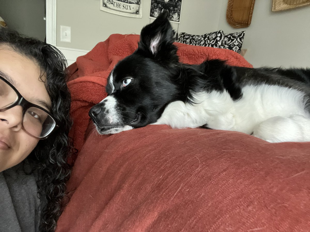 odalysg55's tweet photo. I ain’t jokin….only doggo content today #NationalDogDay https://t.co/LkHXxlizYr