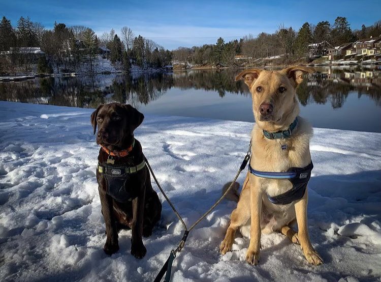 Jaime Rudge tweet media