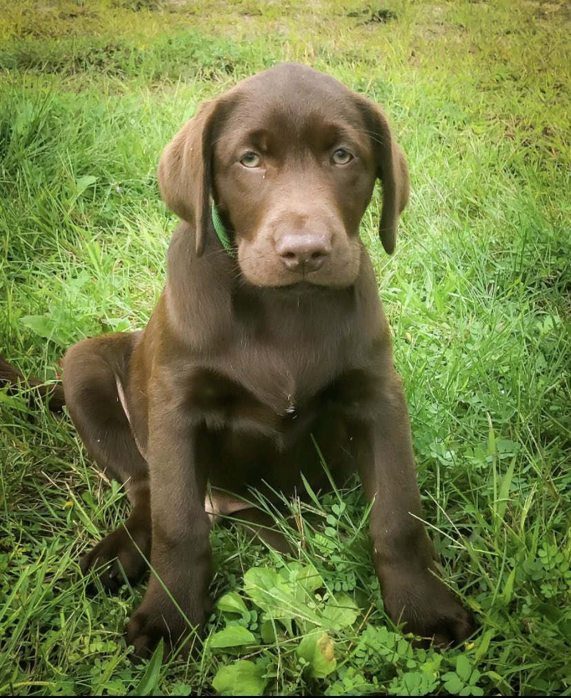 Jaime Rudge tweet media