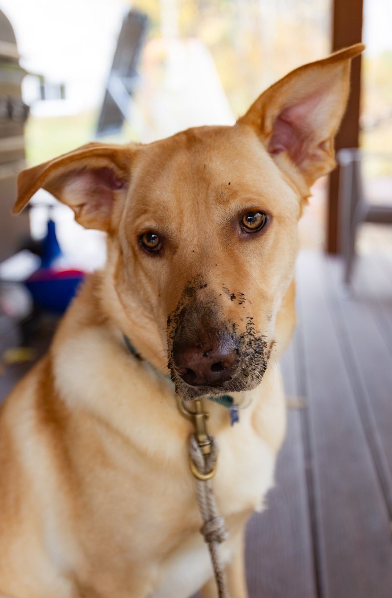 Jaime Rudge tweet media