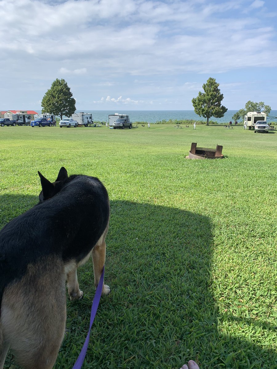 On the shores of Lake Erie watching new arrivals get settled.  #GermanShepherd #gsd #LakeErie #Pennsylvania #RV