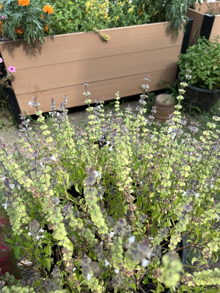 Ah yes, patio season at the <a href="/LexWritersRoom/">Lexington Writer's Room</a> is definitely here (it’s also nice to be to turn in proofer responses and then weed).
