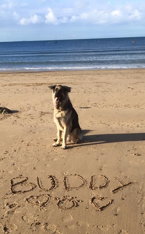 Can’t believe I’ve said goodnight to the best pal I’ve ever had..my hero right to the end! We’re devastated 💔