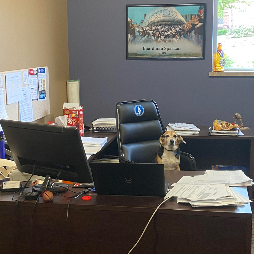 YSUFoundation's tweet photo. Happy National Dog Day! Our Office Manager, Lisa, brought in her daughter's dog today named Bella. However, it seems as though she decided to take a seat as our Controller for a minute! She was hard at work.

#youngstown | #ysufoundation | #ysu | #ysupenguins | #nationaldogday https://t.co/ySP1tQJlng