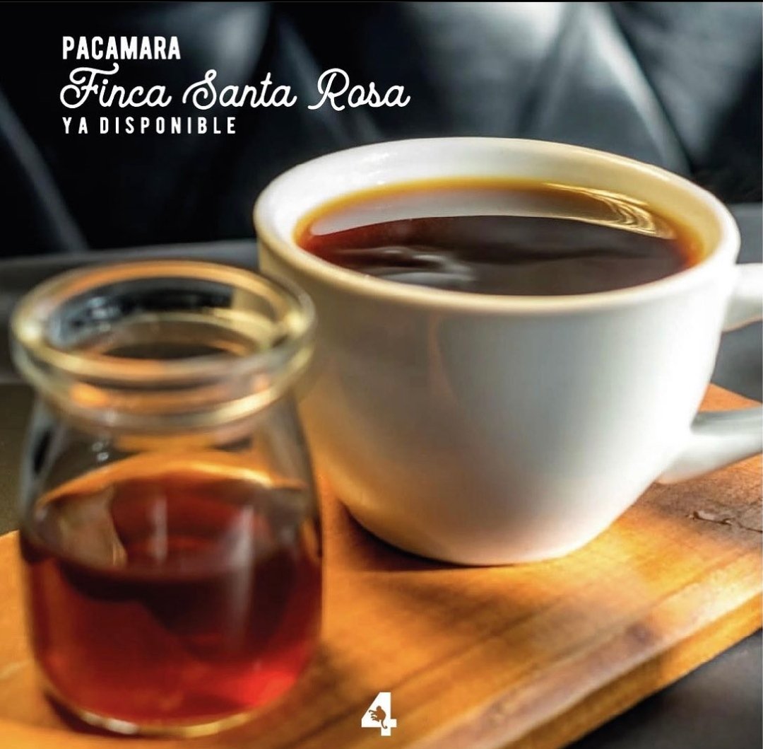 4Monkeyscoffee's tweet photo. ¿Ya listos para su café de la tarde?
4🐒☕
#cafe #Cafecito #4Monkeys #Cafedeespecialidad https://t.co/cXFs6vywhW