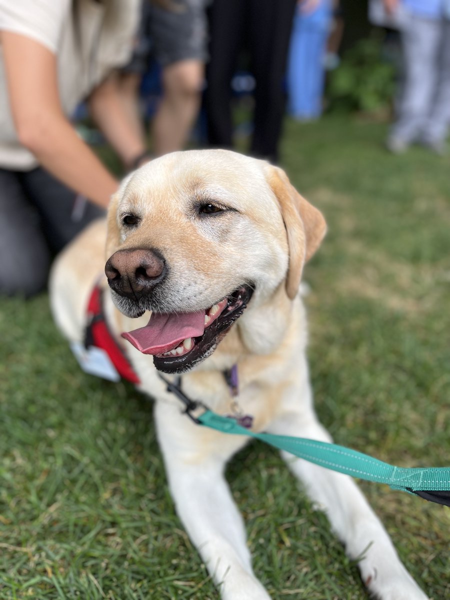 Boston Medical Center tweet media