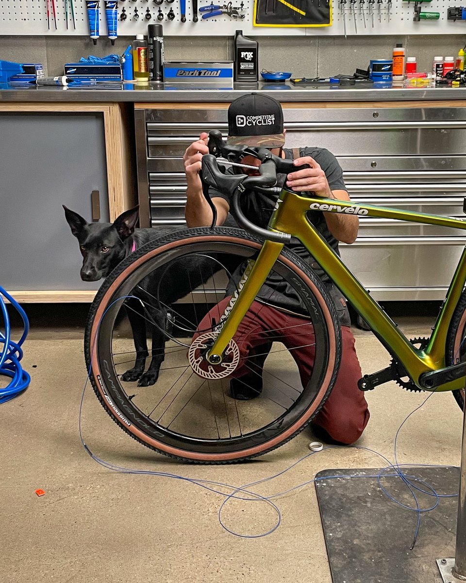 CompCyclist's tweet image. Did you say #NationalDogDay? That&apos;s right! Today we celebrate our shop companions, trail shredders, and best friends. 🎉 🐶

#nationaldogday🐶 #pupsofinsta #dogsofinstagram #dogsandbikes #cyclist #shopdog #traildog