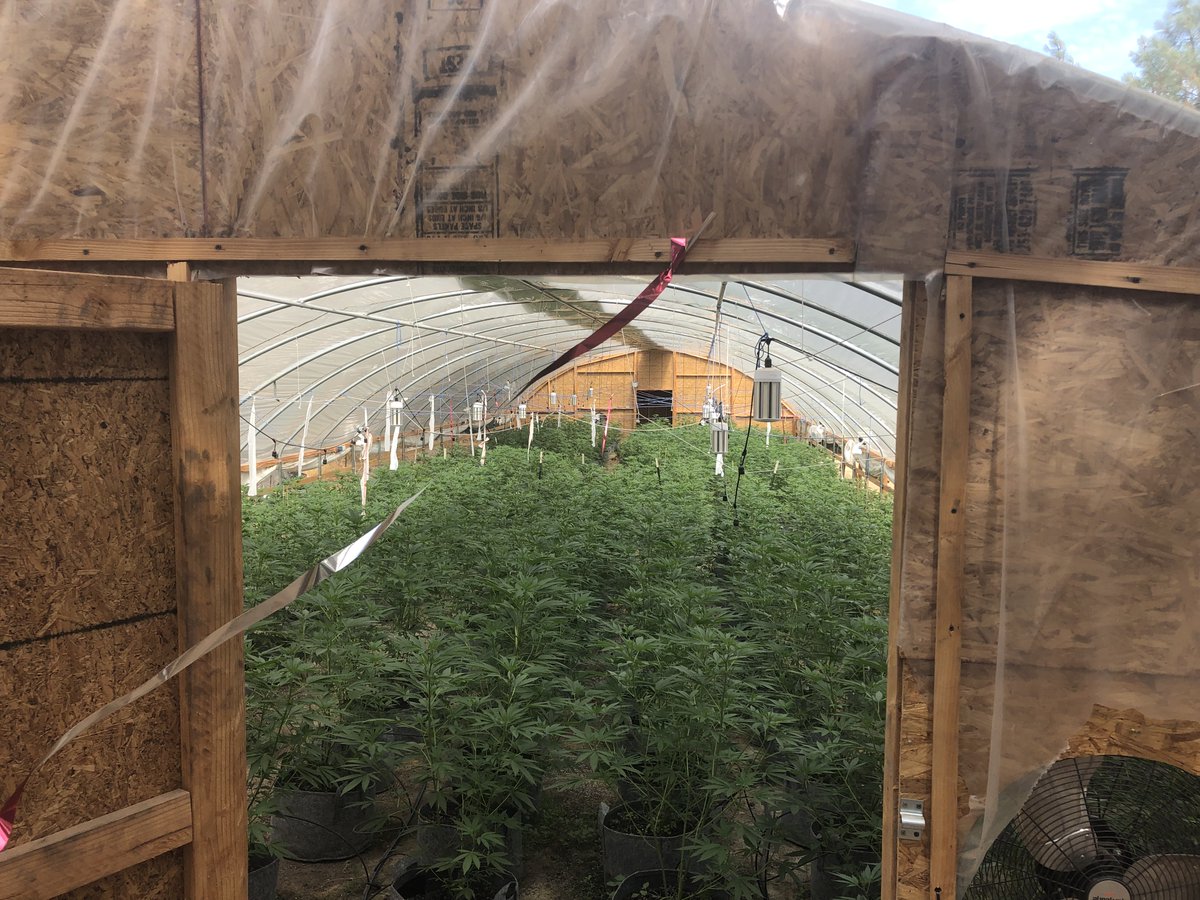 ButteCodeEnf's tweet photo. Questions about how much and where you can grow Cannabis?  Call our office at 530.552.3702! https://t.co/ot4VWlJ8bE