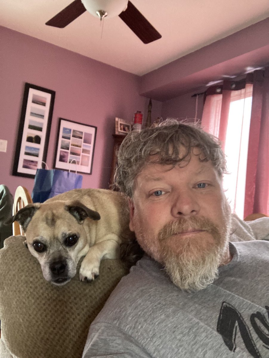 Not_an_ebug's tweet photo. Happy #InternationDogsDay #DogsofTwitter #Tonka ๐พ https://t.co/CzlD7eKzGz