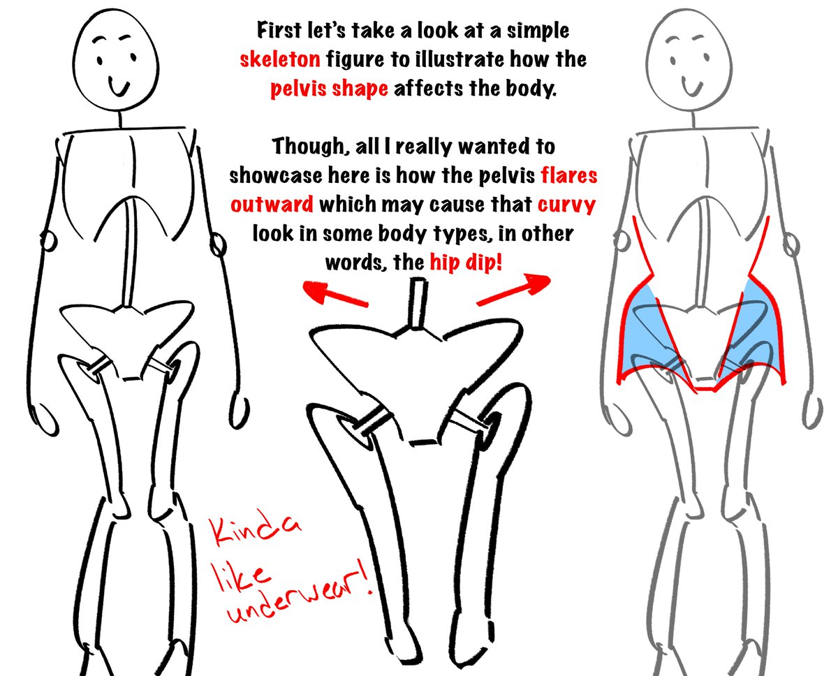 UDekure's tweet photo. Notes for drawing the hips. 😊 https://t.co/ZaPdPtxtbk
