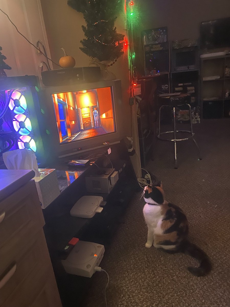 Omarachu14's tweet photo. Maka loves gaming as much as I do 😍 #gameroom #gameroomdecor #gameroomsetup #gamerooms #gameroomdesign #gameroomcollection #arcaderoom #arcaderooms #gamesetup #gamesetups #consolesetups #consolesetup #omarachu #pikapals #maka #calicocat #calicocritters #dinocrisis #segadreamcast https://t.co/RR9CNzq8MY
