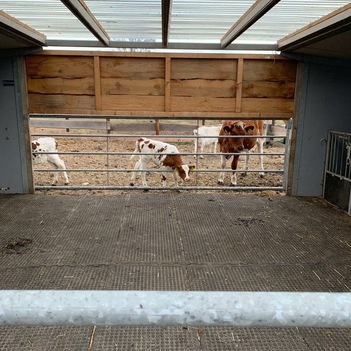 cdamaassluis's tweet photo. Afgelopen vrijdag zijn wij op bezoek geweest bij de floating farm in de Rotterdamse haven. Een boerderij op het water die laat zien hoe je de stad en verbouwen van voedsel combineert. Voedsel maken waar mensen wonen! https://t.co/V5bXH9z7hX