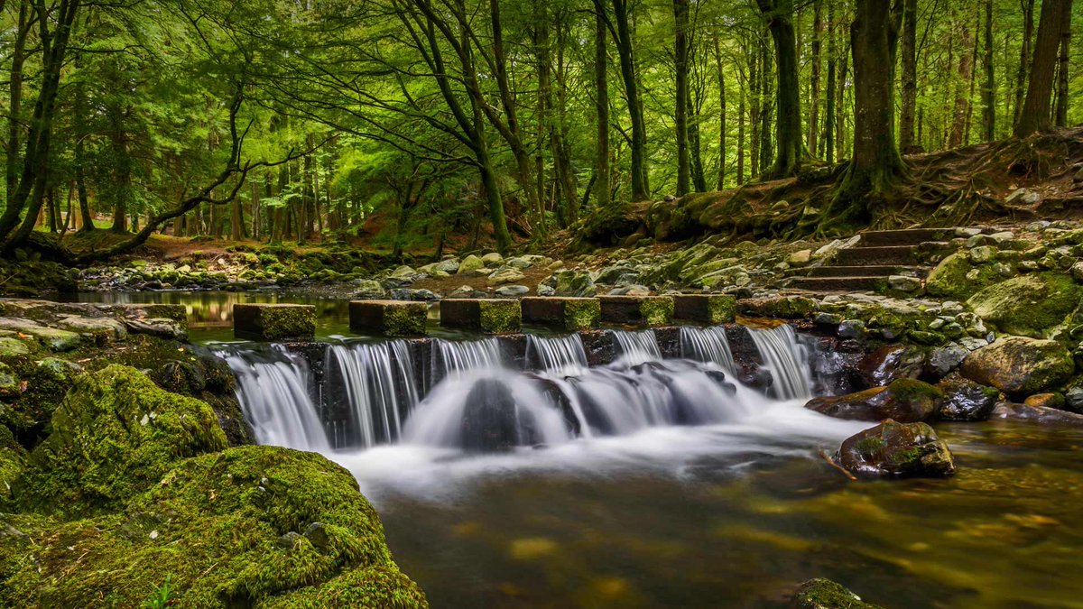 Tollymore Forest Park stepping stones. Northern Ireland.