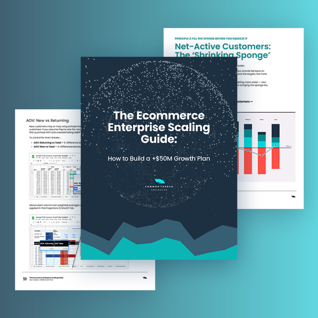 Attention CMOs preparing for another terrible meeting with the executive team!

We’ve been working like crazy over the last few months to condense *everything* we’ve learned about building a (leadership-friendly) growth plan into one guide. 

Here are three key takeaways: