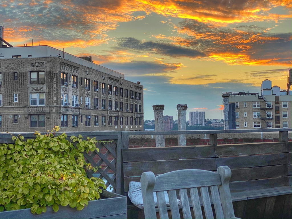 BethFalcone's tweet photo. Taking in a sunset.

#lovewhereyoulive #newyorkcity #nyc #iloveny #bethfalcone #thebigapple #ilovenyc #rooftop #rooftopsunsets #takeitin #reset #sunsets #sunsetsinnyc #newyorkcitysunsets #lookup https://t.co/GsCbn1OeKi