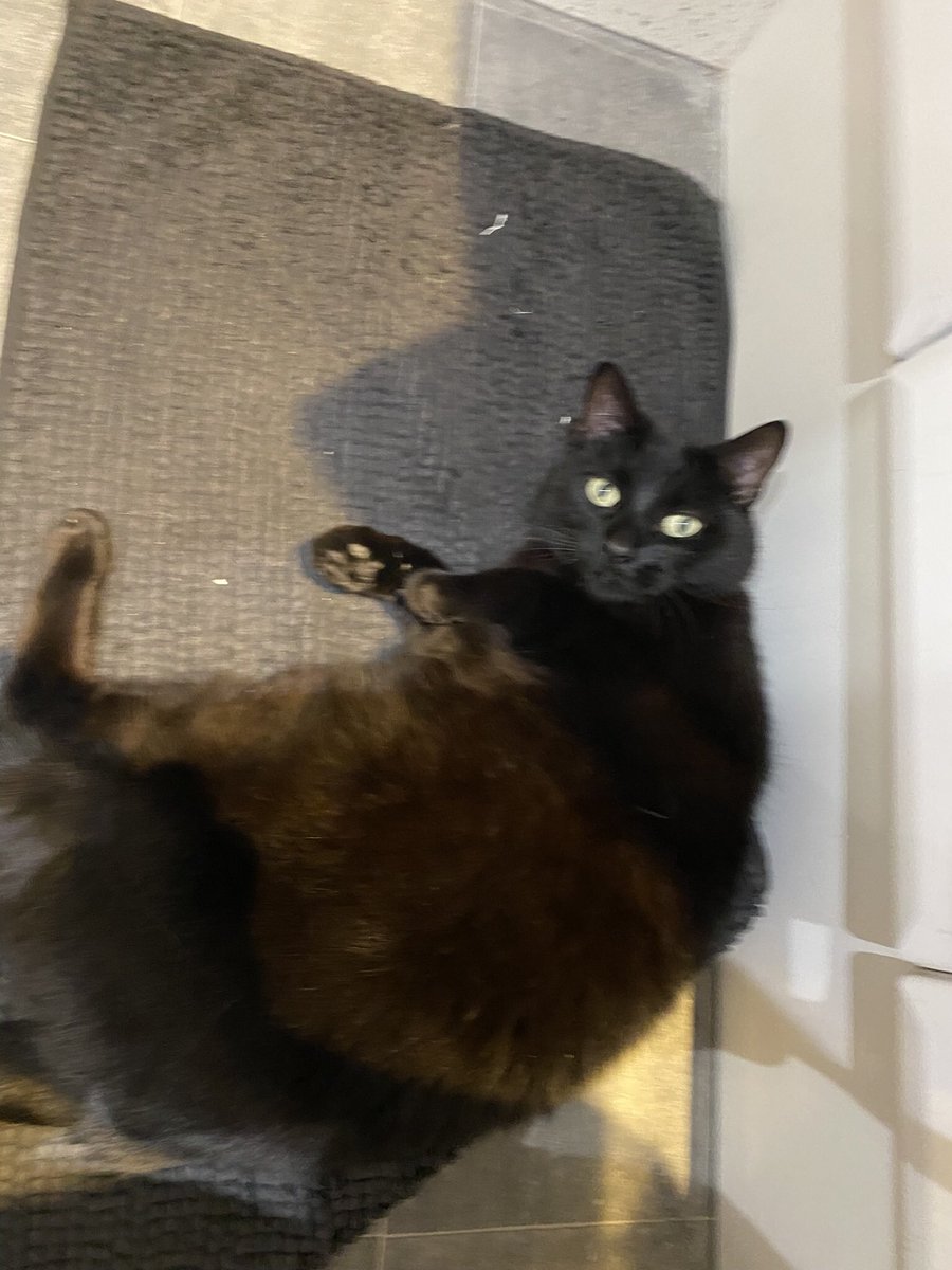 <a href="/taco_bellatrix/">Santiago #freepalestine 🍉🇵🇸</a> Bobo lives in Newport Pagnell, central England