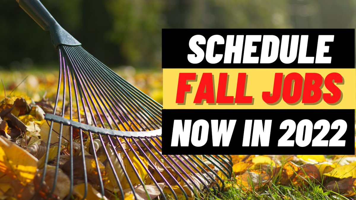 Frank briefly discusses in this #youtubeshorts #shorts video that you need to start scheduling fall jobs now for your customers in order to get a head start on the competition in your lawn care business.
youtube.com/shorts/sFOGsVD…

#lawn #lawncare #landscaping #lawncarefrank