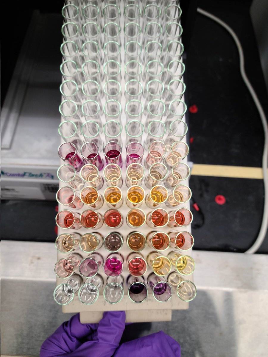 Riley Roberts tweet media