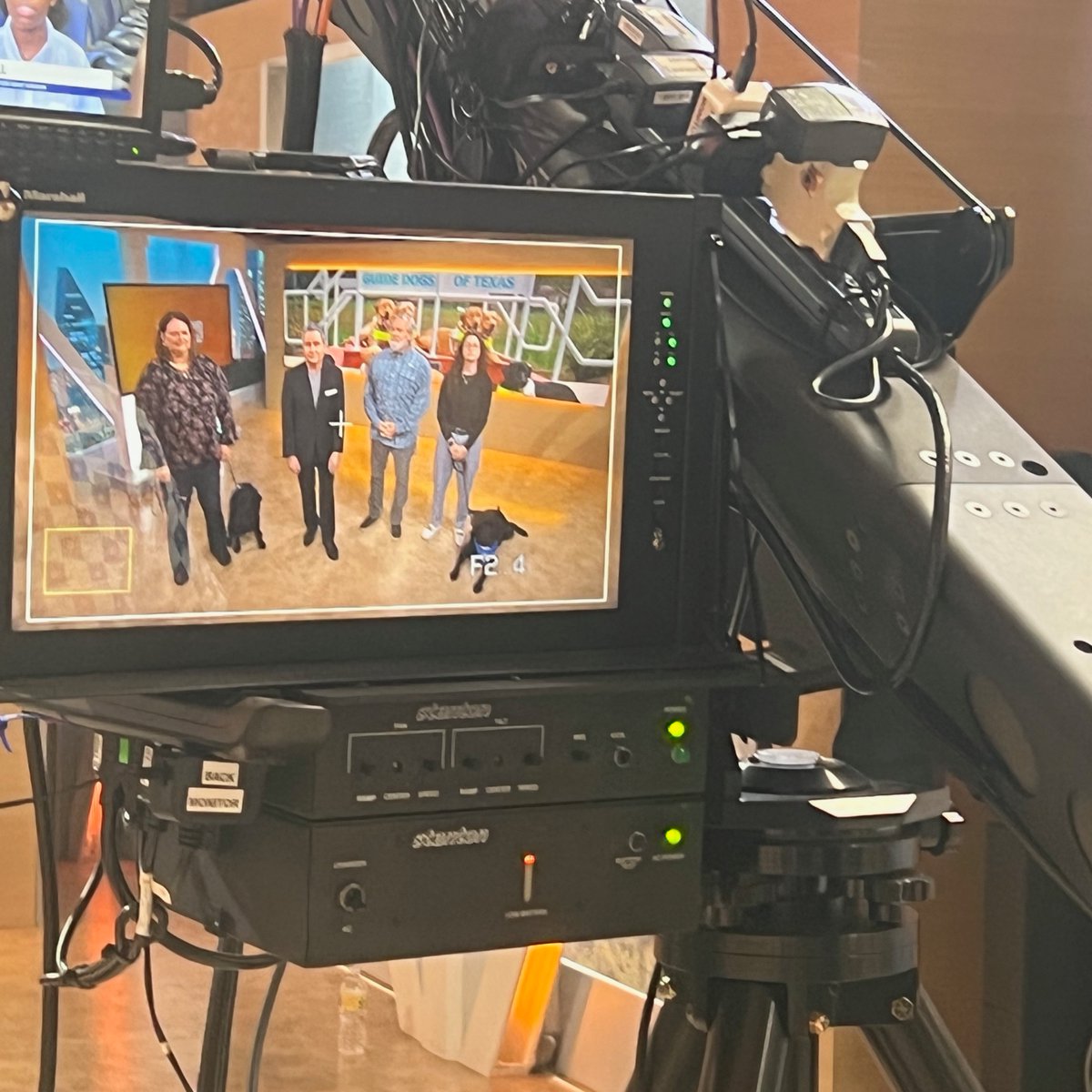 bestdogsinsight's tweet photo. 📺 Tune in to @SpectrumNews1TX this weekend to see Guide Dogs of Texas featured on Todd Boatwright's morning news program!
GDTX CEO Billy Rader was joined by Puppy Raiser Lisa Tannehill and Major and Operations Coordinator Jess Coble with Service Dog Noble.
@toddboat #gdtx https://t.co/ncFkUxyHjq