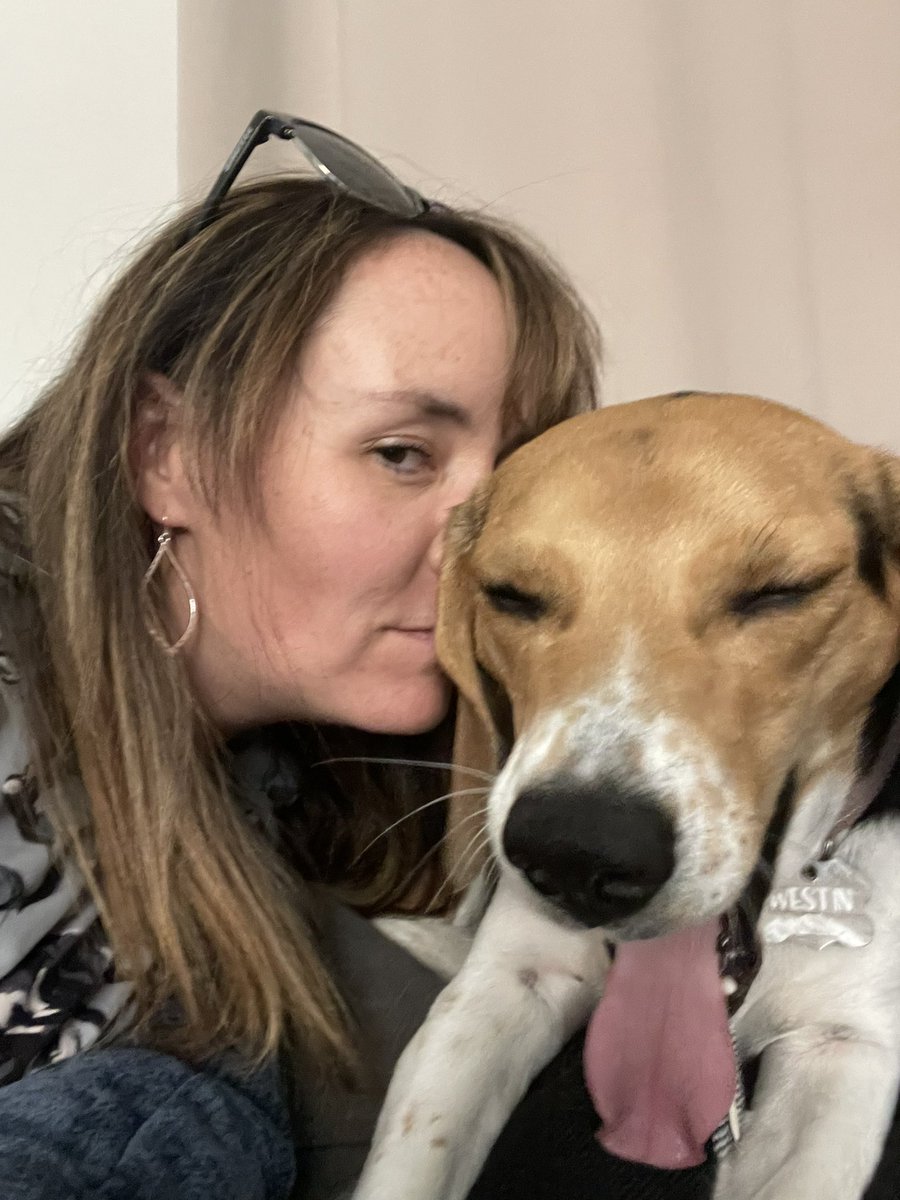 Jess_Natali19's tweet photo. @itscathaley this is Westin, my beloved beagle. He’s 2.5 years old. https://t.co/rncAn1gs5I
