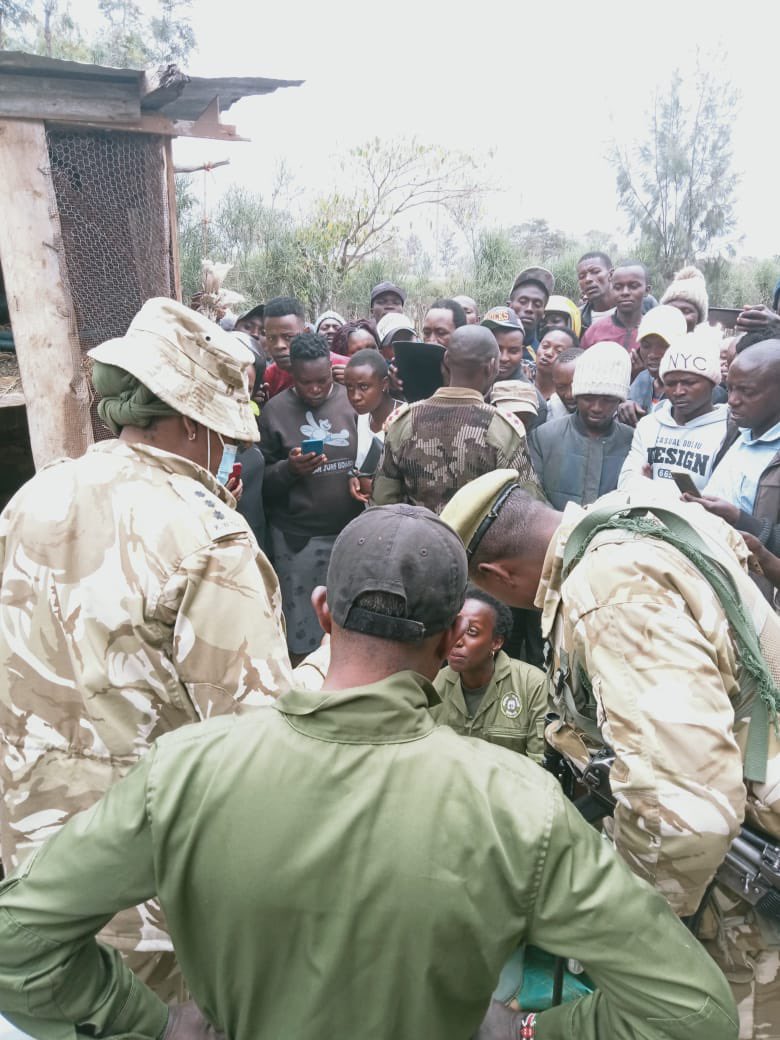 We continue to urge the public to kindly call KWS hotline/Toll Free number 0800 597 000 or WhatsApp number +254 726 610509 for immediate assistance and reporting of any wildlife incidences.