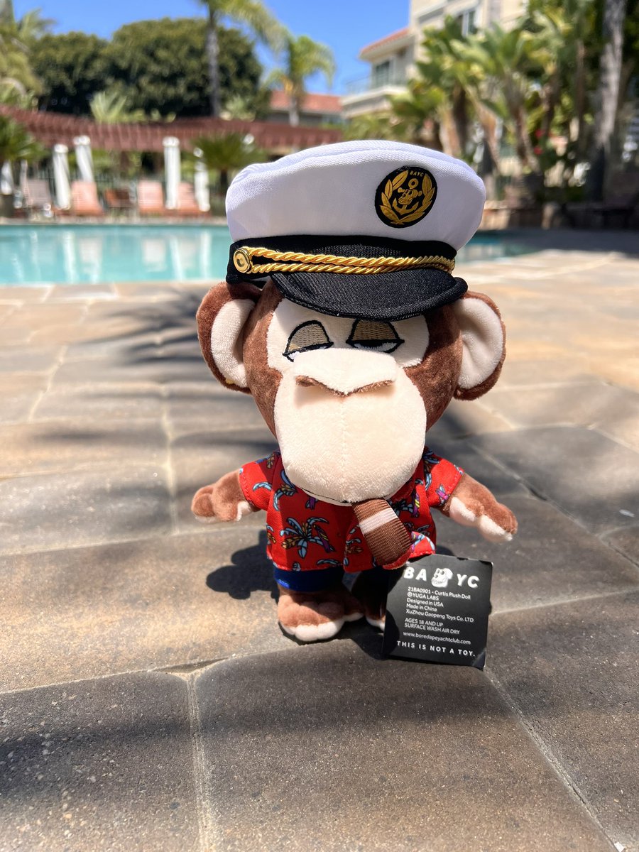 imJDMJEM's tweet photo. Curtis just chillin at the pool. Thank you @BoredApeYC you rock #bayc #curtis #apesVSmutants https://t.co/03dhFUV9Xs