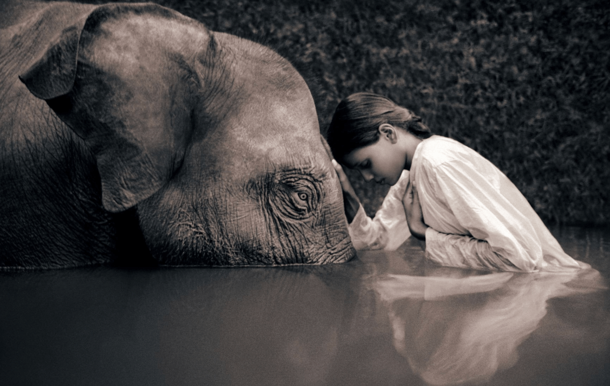 tfsalomon's tweet photo. #Célébration #Bienveillance "La beauté (bonté!) sauvera le monde."  #Dostoïevski 

Photo: #GregoryColbert https://t.co/nsYAeAqIWe