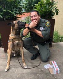 houstonpolice's tweet photo. Thank you HPD K9s for all you continue to do! #RoundOfAPaws https://t.co/ChkVeX5oZ7