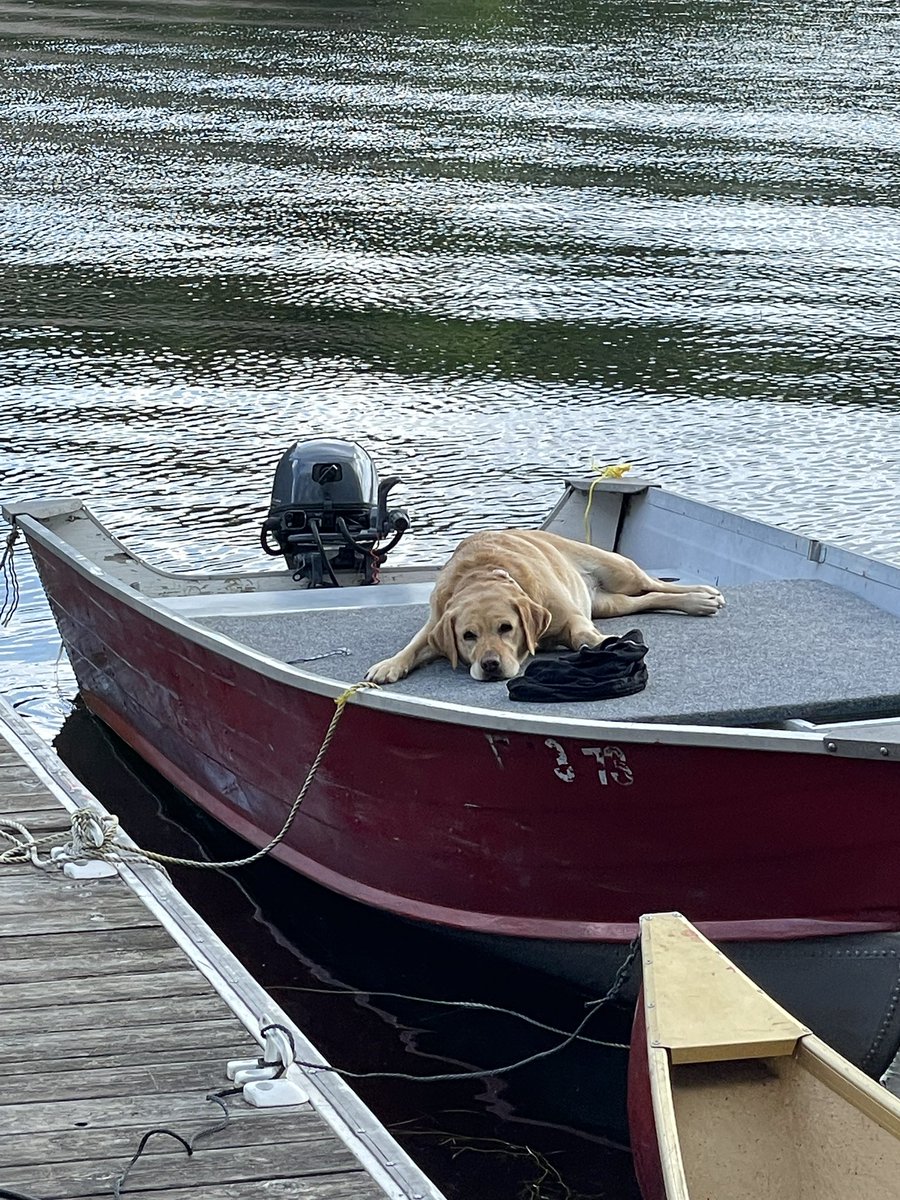 #InternationalDogDay going fishing?