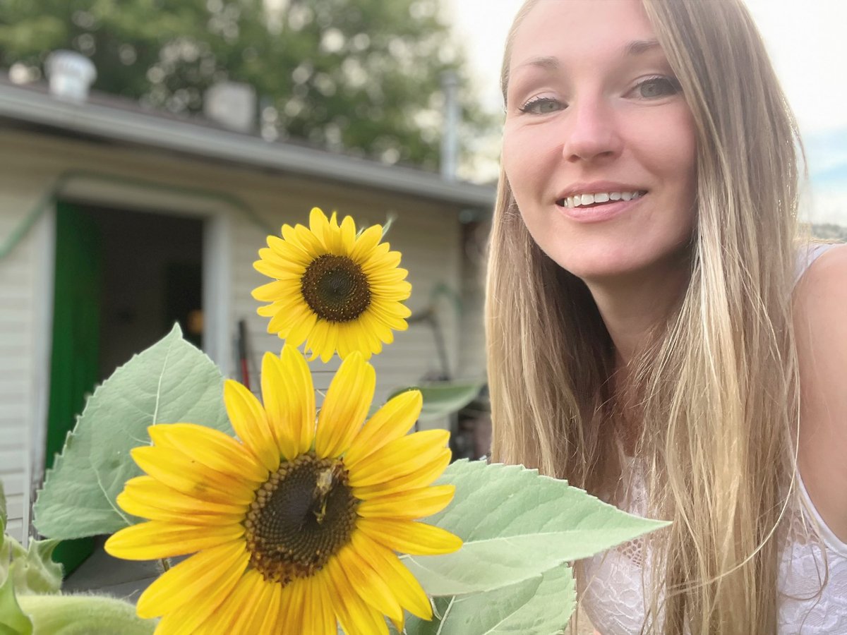 Sunflower tweet media