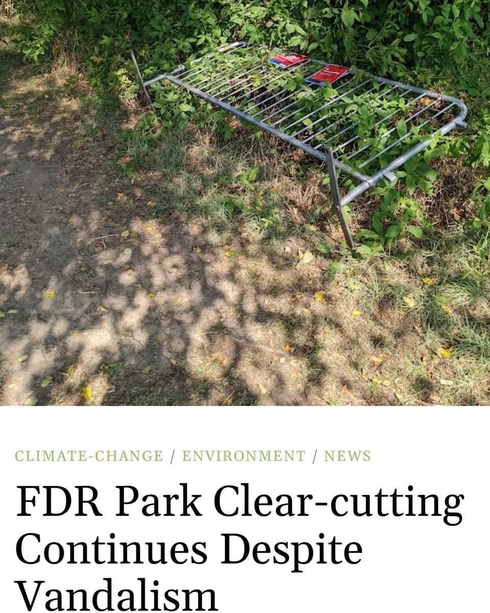 gridphilly's tweet photo. Equipment used to clear-cut the South Philly Meadows at FDR Park was disabled by vandalism, according to a report by 6 ABC News. 🚧
Read more in our featured piece at https://t.co/tmG6p6uXC1
#SaveTheMeadowsFDR
#savethemeadows https://t.co/yy9ucIbDoN