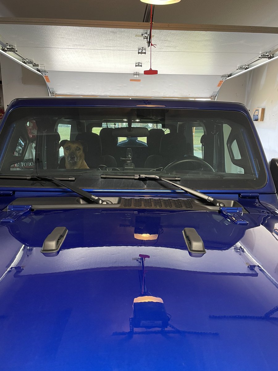kyle_fay7's tweet photo. Yes, let’s go cruisin’ today #nationaldogday2022 #Jeepdog #JeepWrangler https://t.co/EyGhdkzxS8