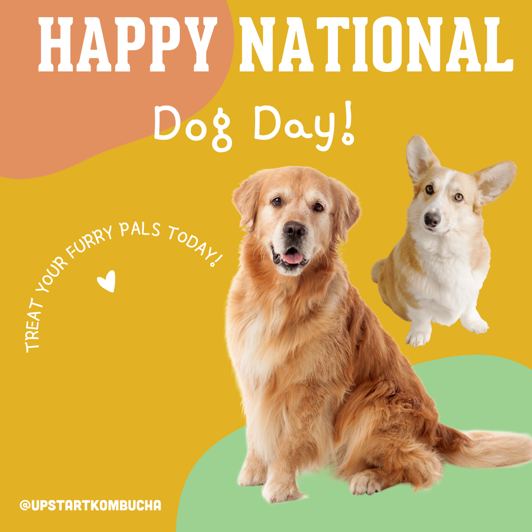 Upstart Kombucha tweet media