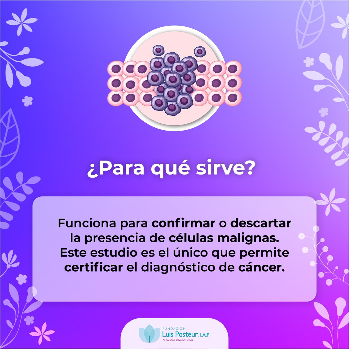 Una Biopsia de tejidos blandos es un estudio histopatológico que analiza las células para diagnosticar el cáncer vulvar, vaginal y endometrial. La biopsia puede extraerse de: vagina, vulva, región perianal y endometrio. Puedes agendar tu cita 📅 para t... fundacionpasteur.org/shop/servicios…