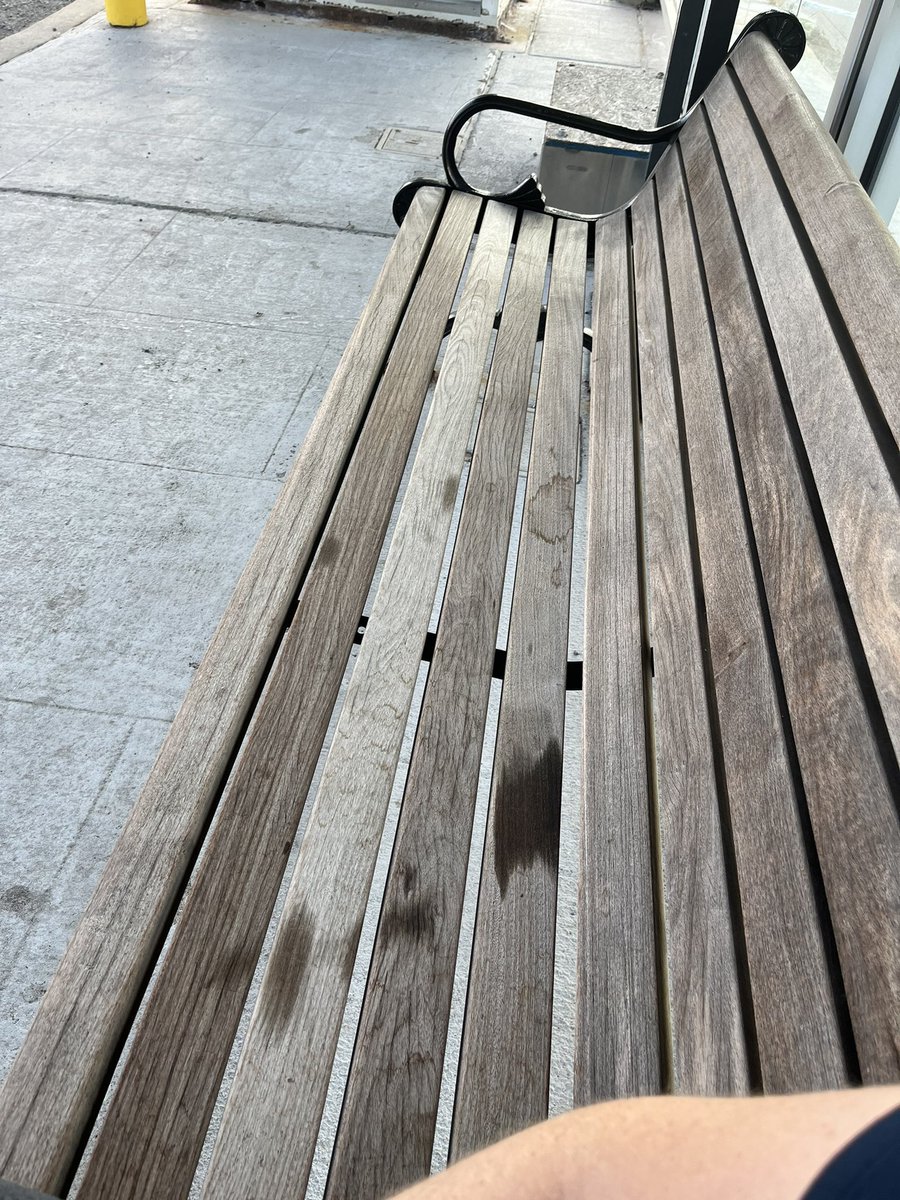 sitting on a nice bench. the only thing that would improve this experience is anti homeless infrastructure such as a field of spikes that pierce your body when you touch them