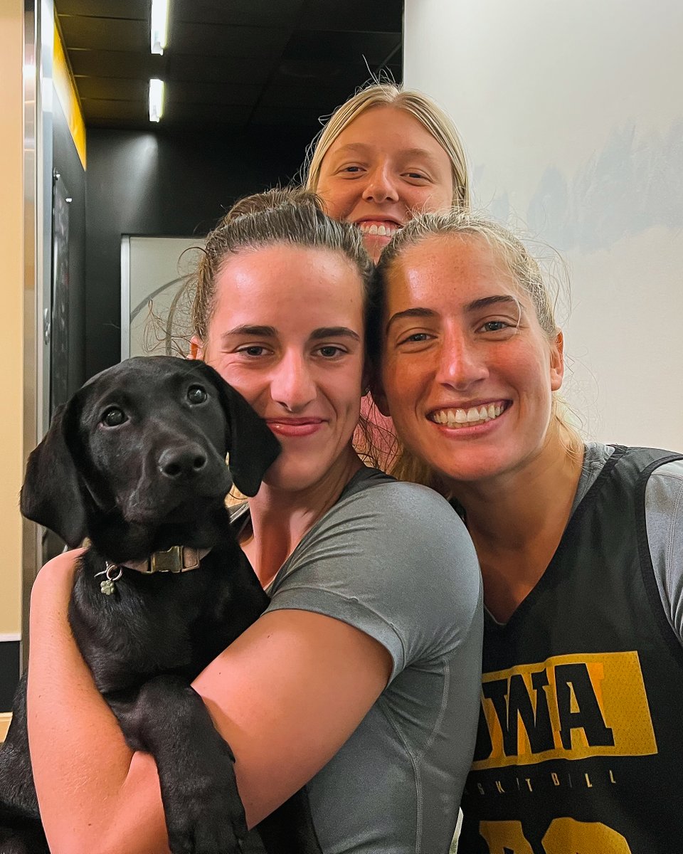 TheIowaHawkeyes's tweet photo. Happy International Dog Day to all the good boys &amp; girls out there! 

Reply to this tweet with photos of your Hawkeye doggos
⬇️⬇️⬇️ https://t.co/eN0s55C0BC