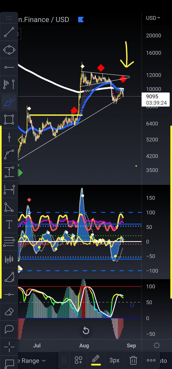 Think she's going lower