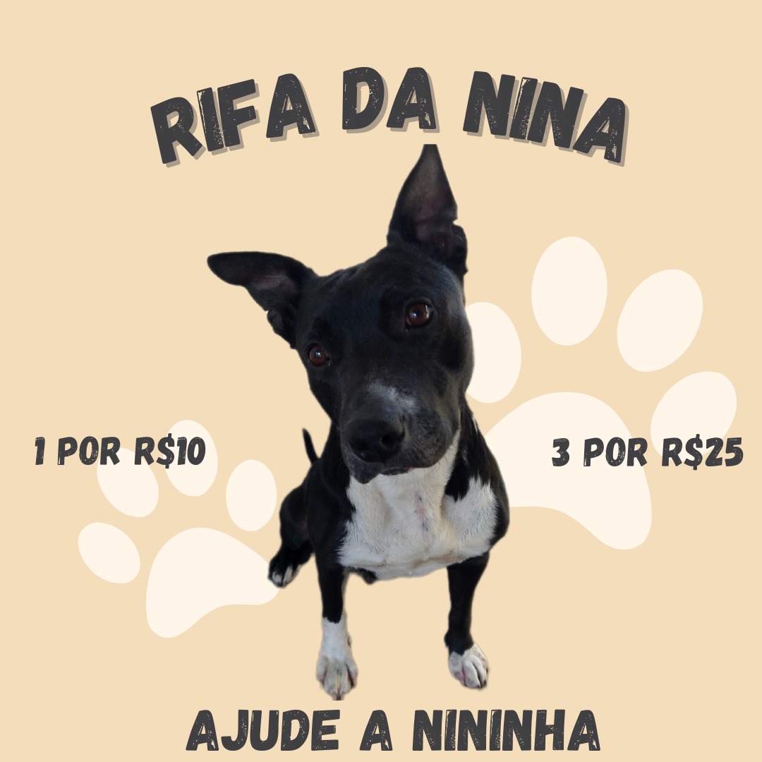 oioilarry's tweet photo. oii. td bem? a cachorrinha da minha república teve q passar por uma cirurgia e agr ela terá que passar por outra, pois descobrimos q ela está com câncer. será q vc poderia ajudar comprando a rifa dela? caso ñ possa, um compartilhamento já ajuda mt.

tags: harry, extra, sp, show https://t.co/0AO2ogOBGQ