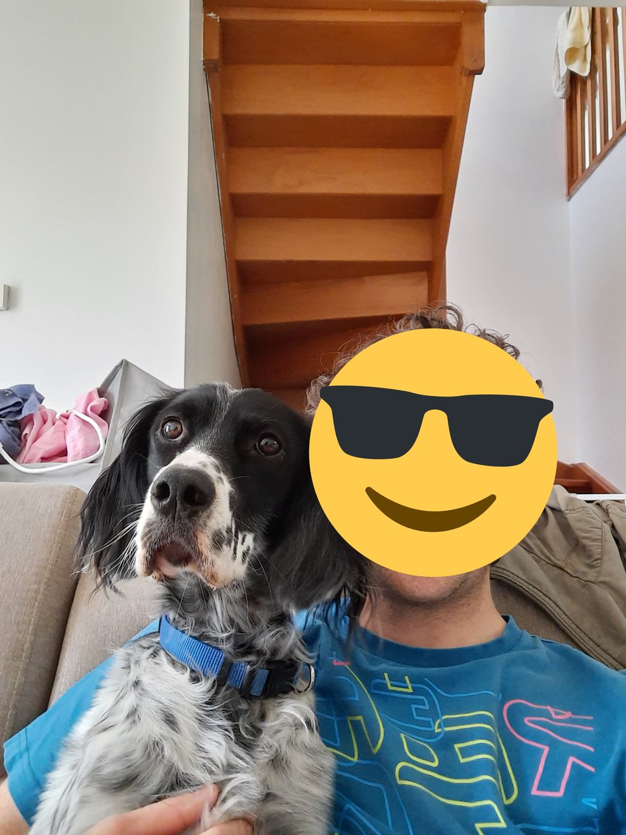 svtibo's tweet photo. "Aimer ce n'est pas se regarder l'un l'autre. Aimer c'est regarder ensemble ds la même direction !"
#JourneeMondialeDuChien #JourneeInternationaleDuChien #SetterAnglais https://t.co/GQBaZvfCL6