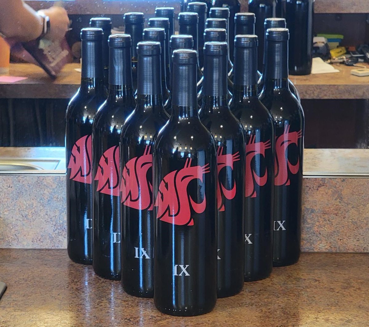 WSUAlumAssoc's tweet photo. The Cougar IX Release Party is today and tomorrow from 2-7 pm at Basalt Cellars in Clarkston, WA. Featuring a band today and cooler weather tomorrow, be the first to try Cougar IX! 🍷🍇 We hope to see you there! https://t.co/Kj2ijyDEv1