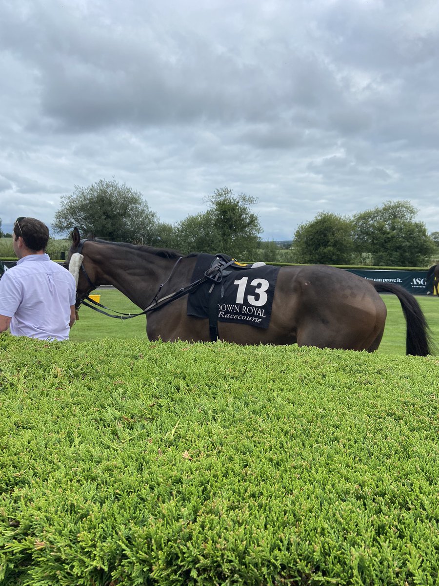 lycanning's tweet photo. Fab day Down Royal races @musgraveni https://t.co/m6795oYtkc