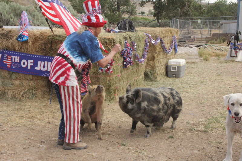 MerriTEV's tweet photo. The Some-teenth Annual Oreana July 4th Parade:
https://t.co/Ccwh9BoGOp https://t.co/SrJqOt0iJC