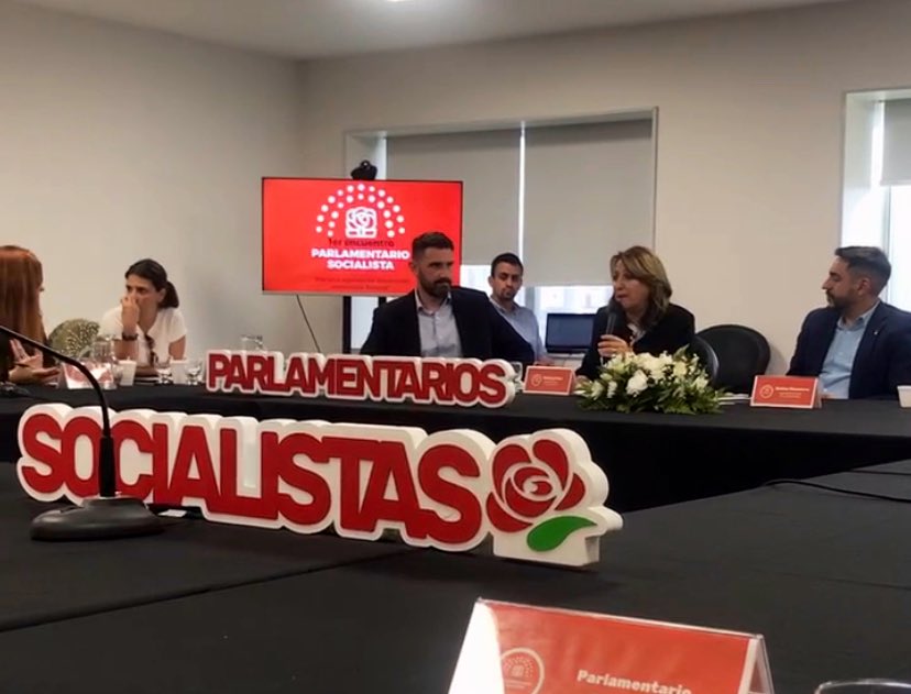 Es necesario que quienes creemos en un real federalismo encontremos esos acuerdos que hacen falta para construir la Argentina que queremos”. <a href="/MonicaFein/">Mónica Fein</a> en el Parlamento Socialista✊🏼🌹”