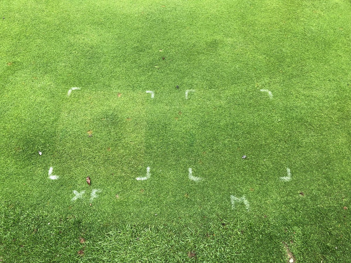 marks_sm1th's tweet photo. These baby’s won’t be long #checkplots #turf #disease https://t.co/76sIWKNz7R