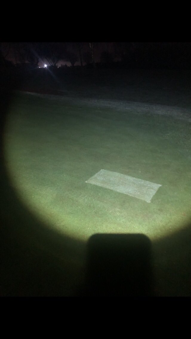 marks_sm1th's tweet photo. These baby’s won’t be long #checkplots #turf #disease https://t.co/76sIWKNz7R