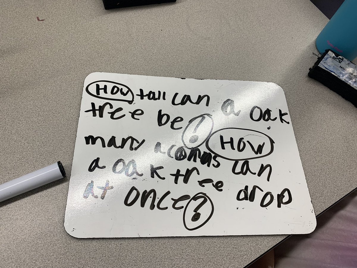 Jen Arnold tweet media