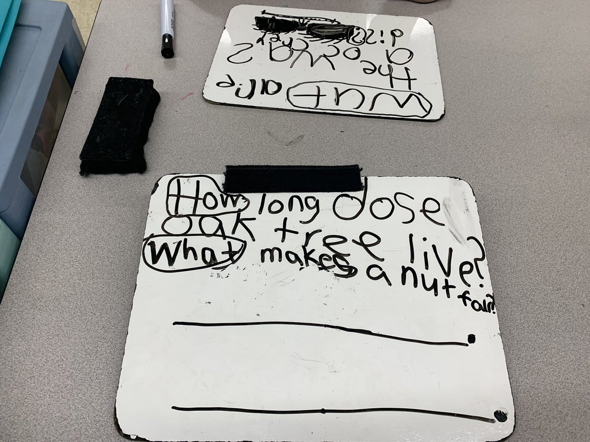 Jen Arnold tweet media