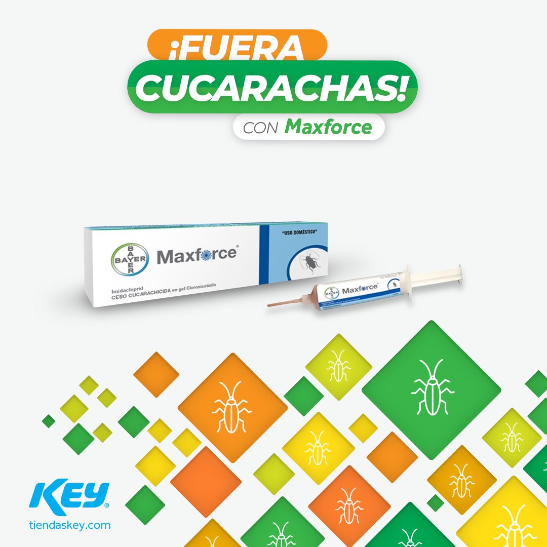 tiendaskey's tweet photo. 🚫🪳  Fuera cucarachas chiquitas

Con #Maxforce elimina plagas de cucaracha alemana o "cucaracha chiquita"

🏪  Disponible en Sucursales #Monterrey y #Saltillo

💻 Haz tu compra en https://t.co/xbN1J3ZJbH

#TiendasKEY #FueraCucarachas #ControldePlagas #CucarachaChiquita https://t.co/3R2ggnRn20