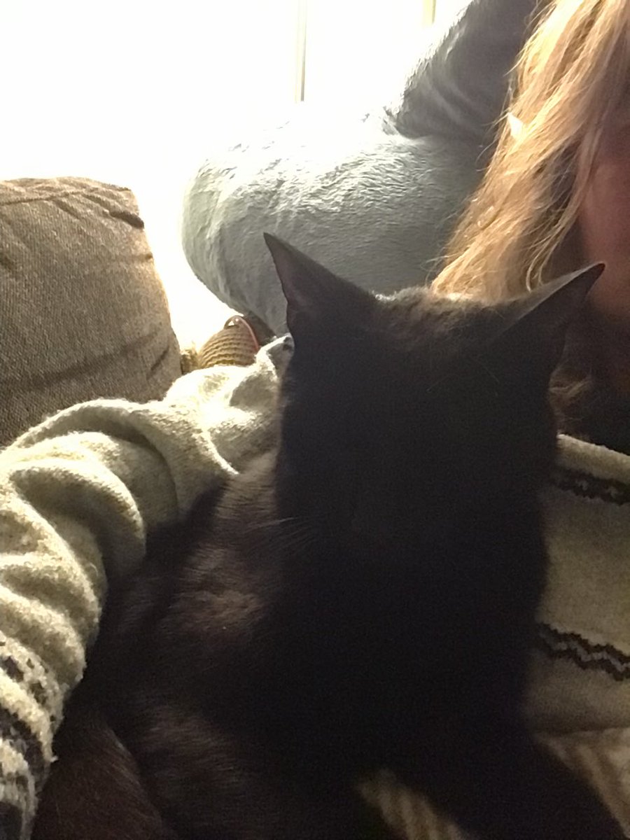 Hylemaskine's tweet photo. Sengetid. På sofaen. Og her bliver vi. https://t.co/A4FoHp1V6X